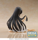 K-ON! SEGA Yumemirize Mio Akiyama
