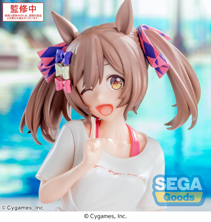 Umamusume: Pretty Derby SEGA Yumemirize Smart Falcon -Gaze on Me!-