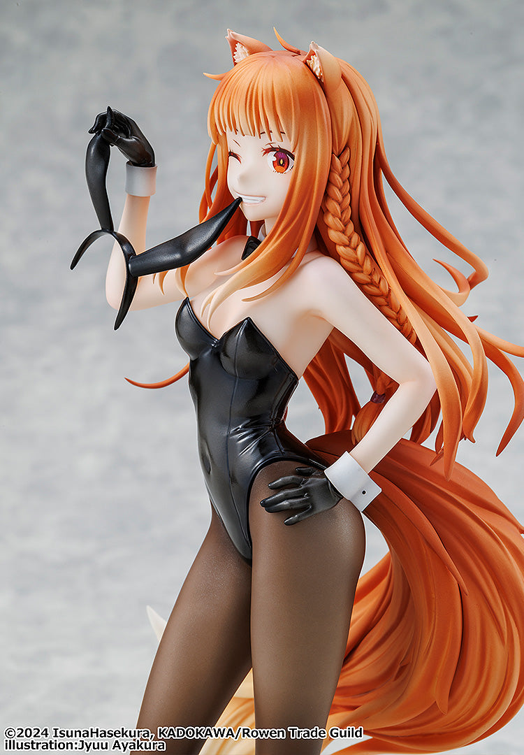 Spice and Wolf: Merchant Meets the Wise Wolf KADOKAWA Spice and Wolf: MERCHANT MEETS THE WISE WOLF Holo Light Novel bunny ver. illustration by Jyuu Ayakura