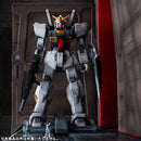MOBILE SUIT Z GUNDAM MEGAHOUSE Realistic Model Series:  MOBILE SUIT Z GUNDAM  (1／144 HG series) Nahel Argama catapult deck  40th Anniversary Edition