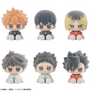 Haikyu!! MEGAHOUSE Nuippo Haikyu!!
