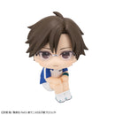 The New Prince of Tennis MEGAHOUSE Lookup Kunimitsu Tezuka