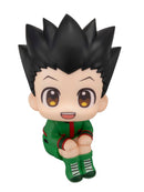 HUNTER×HUNTER MEGAHOUSE Lookup Gon Freecss