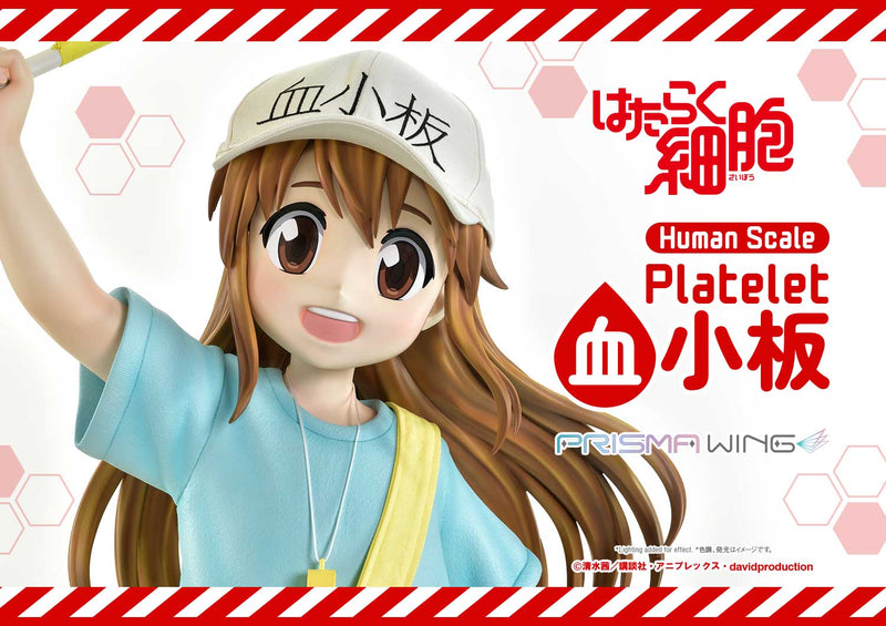 Cells at Work Prime 1 Studio Life Scale Masterline Platelet