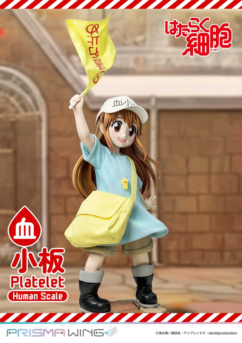 Cells at Work Prime 1 Studio Life Scale Masterline Platelet