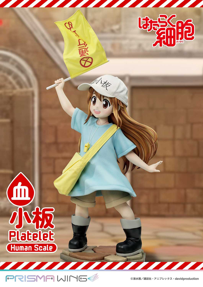 Cells at Work Prime 1 Studio Life Scale Masterline Platelet