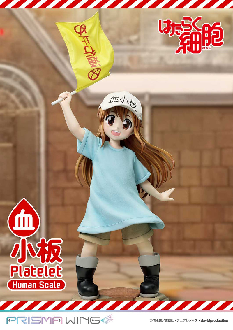 Cells at Work Prime 1 Studio Life Scale Masterline Platelet