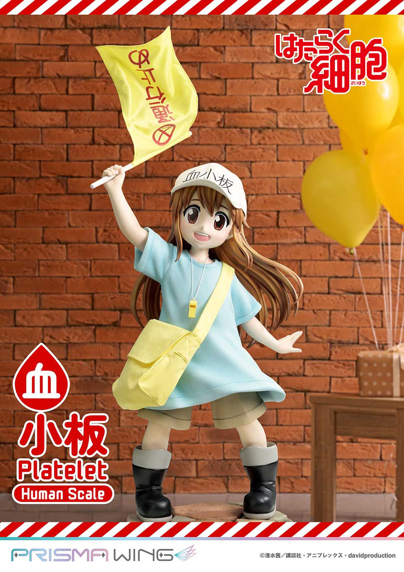 Cells at Work Prime 1 Studio Life Scale Masterline Platelet