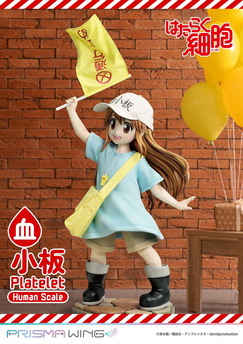 Cells at Work Prime 1 Studio Life Scale Masterline Platelet