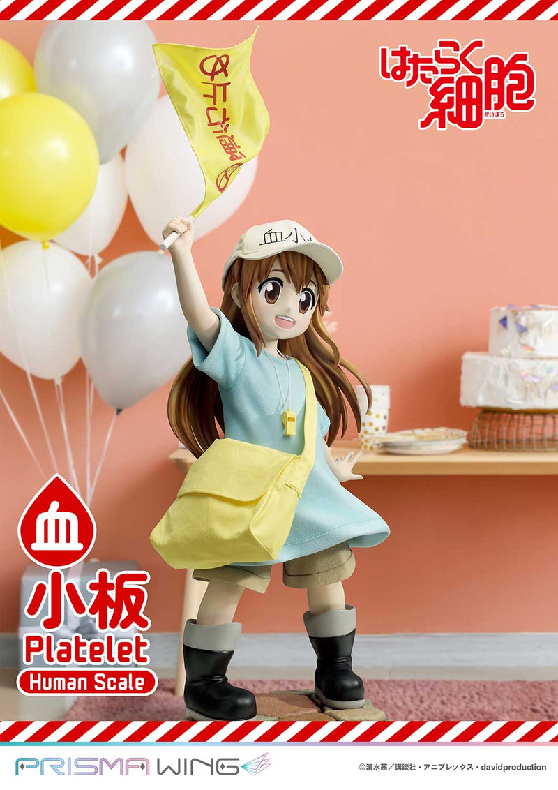 Cells at Work Prime 1 Studio Life Scale Masterline Platelet