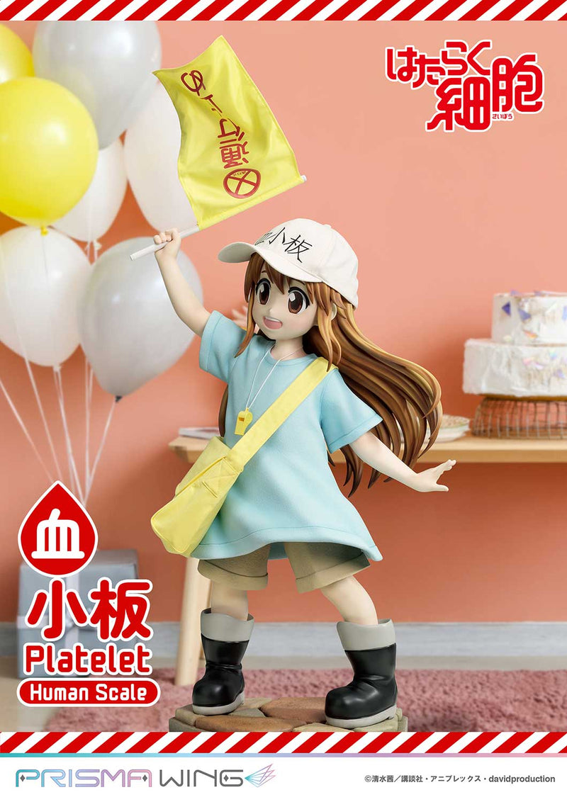 Cells at Work Prime 1 Studio Life Scale Masterline Platelet
