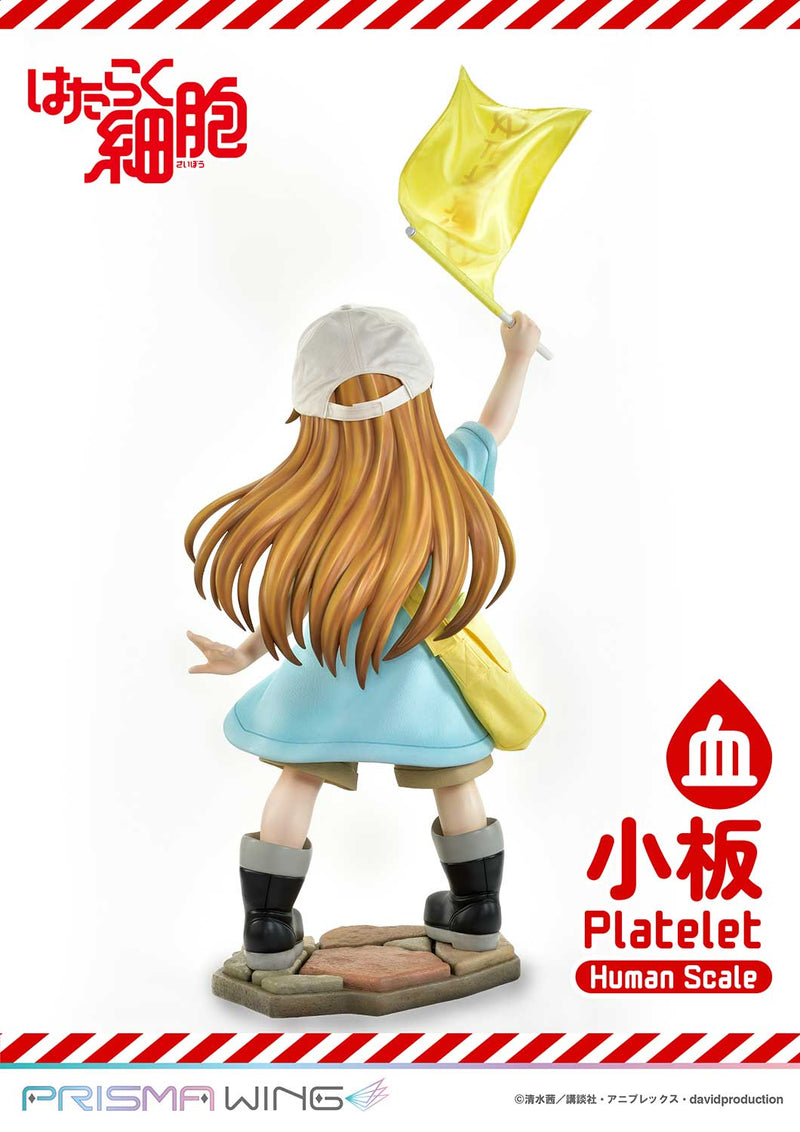 Cells at Work Prime 1 Studio Life Scale Masterline Platelet