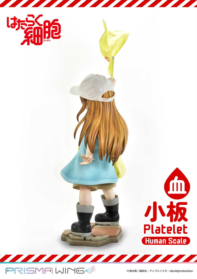Cells at Work Prime 1 Studio Life Scale Masterline Platelet