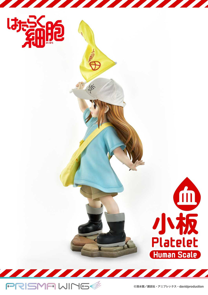 Cells at Work Prime 1 Studio Life Scale Masterline Platelet