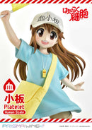 Cells at Work Prime 1 Studio Life Scale Masterline Platelet