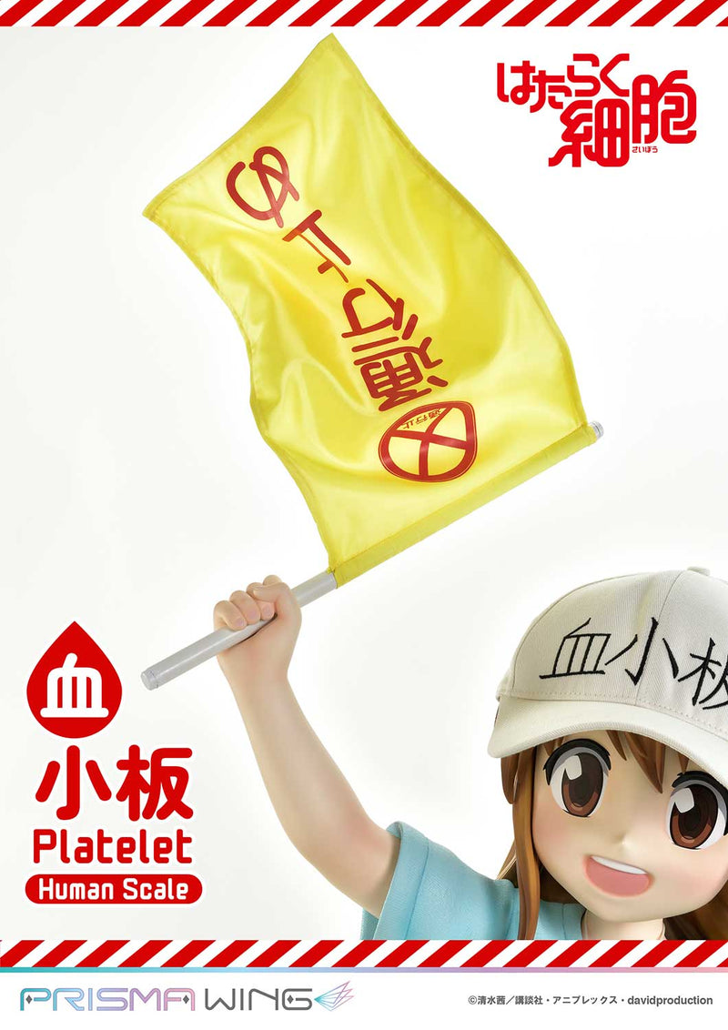 Cells at Work Prime 1 Studio Life Scale Masterline Platelet
