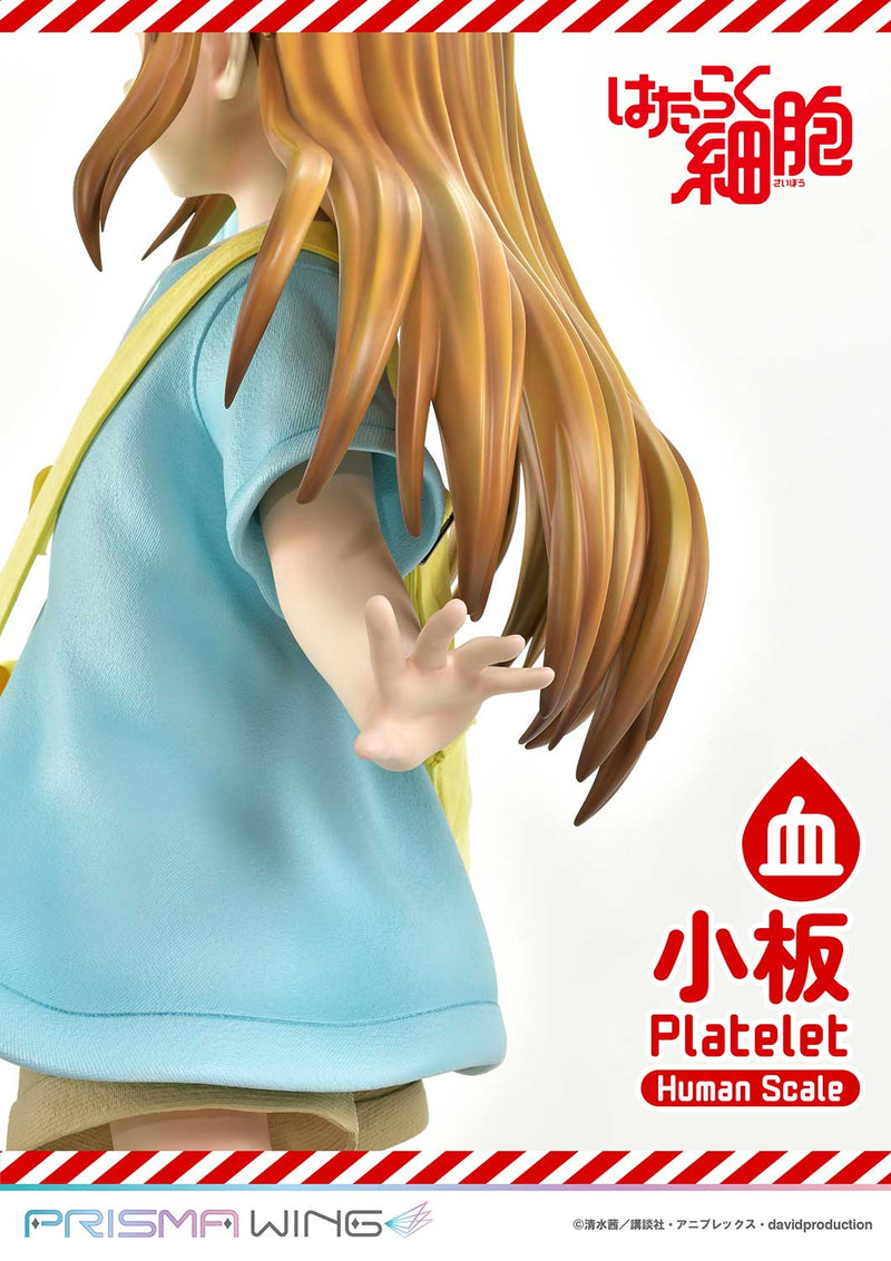 Cells at Work Prime 1 Studio Life Scale Masterline Platelet