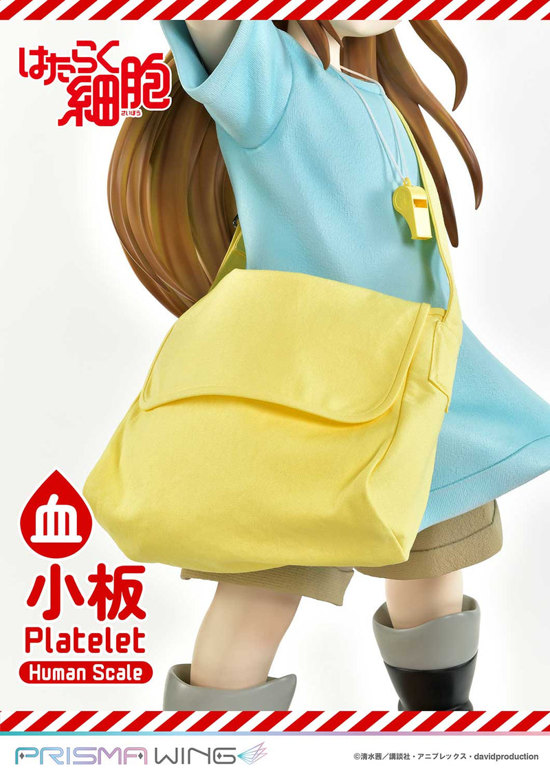 Cells at Work Prime 1 Studio Life Scale Masterline Platelet