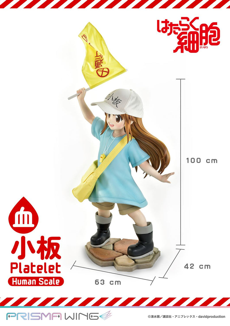 Cells at Work Prime 1 Studio Life Scale Masterline Platelet