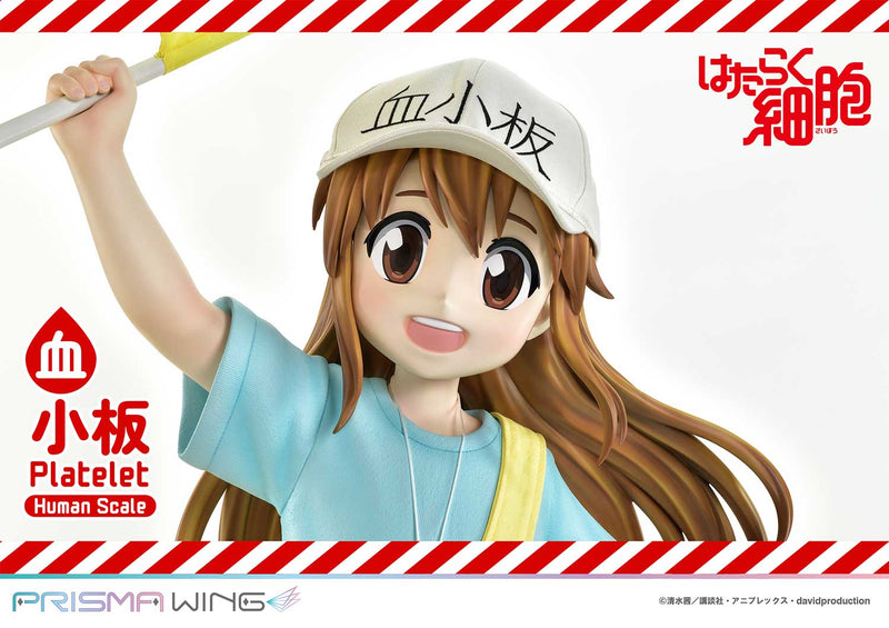 Cells at Work Prime 1 Studio Life Scale Masterline Platelet