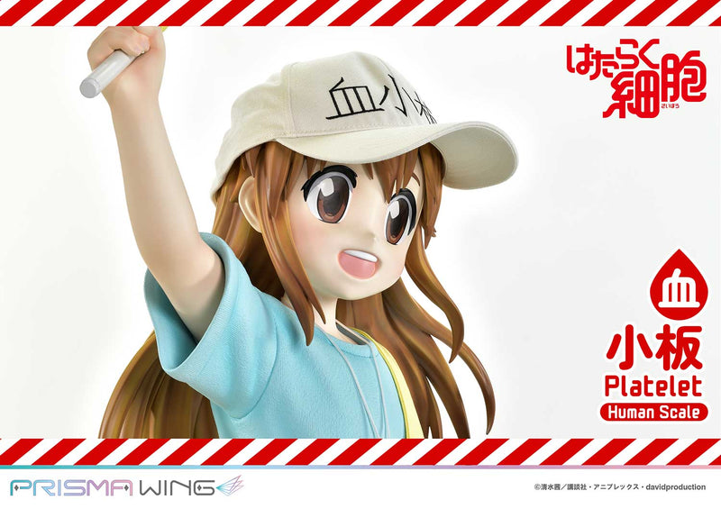 Cells at Work Prime 1 Studio Life Scale Masterline Platelet