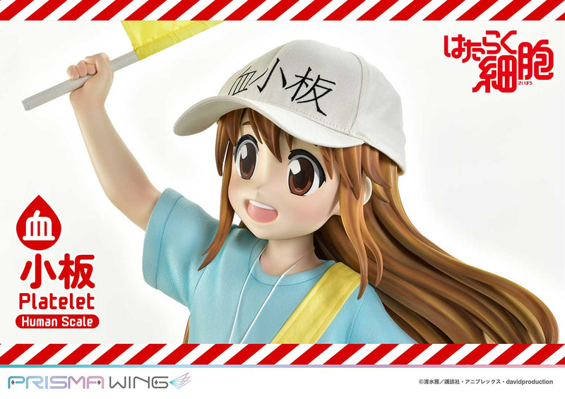 Cells at Work Prime 1 Studio Life Scale Masterline Platelet