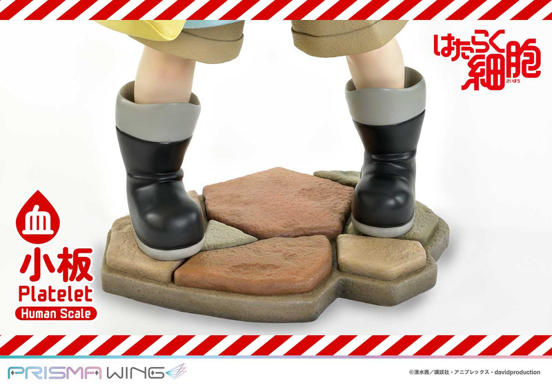 Cells at Work Prime 1 Studio Life Scale Masterline Platelet