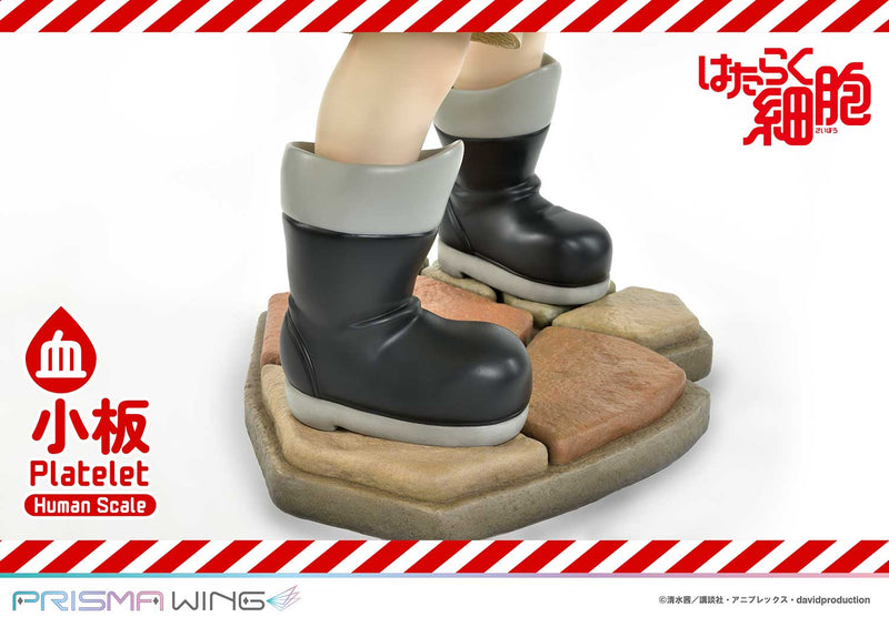 Cells at Work Prime 1 Studio Life Scale Masterline Platelet