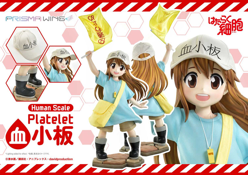 Cells at Work Prime 1 Studio Life Scale Masterline Platelet