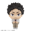 Haikyu!! MEGAHOUSE Lookup Hajime Iwaizumi（Repeat）