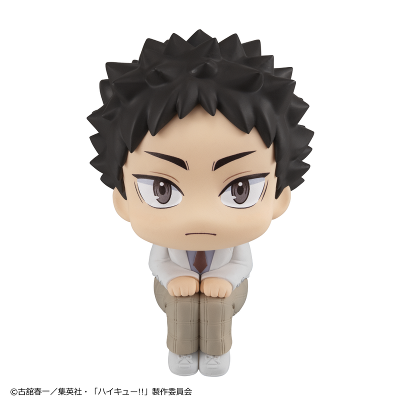 Haikyu!! MEGAHOUSE Lookup Hajime Iwaizumi（Repeat）