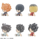 Haikyu!! MEGAHOUSE Nuippo Haikyu!!