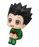 HUNTER×HUNTER MEGAHOUSE Lookup Gon Freecss
