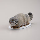 Darwin's Amazing Animals: Stories of Wonder and Discovery Kaiyodo Kochi Miniature Figure