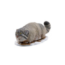 Darwin's Amazing Animals: Stories of Wonder and Discovery Kaiyodo Kochi Miniature Figure