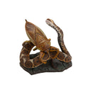 Darwin's Amazing Animals: Stories of Wonder and Discovery Kaiyodo Kochi Miniature Figure