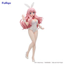 BAKA and TEST -Summon the Beasts- Ⅱ FuRyu BiCute Bunnies Figure Himeji Mizuki