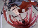 Arknights  F:NEX Entelechia Elite 2 VER.
