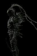 ABARA: T.E.S.T × UNION CREATIVE 1/12 Black Gaunas Kudou Denji & Nayuta Action Figures