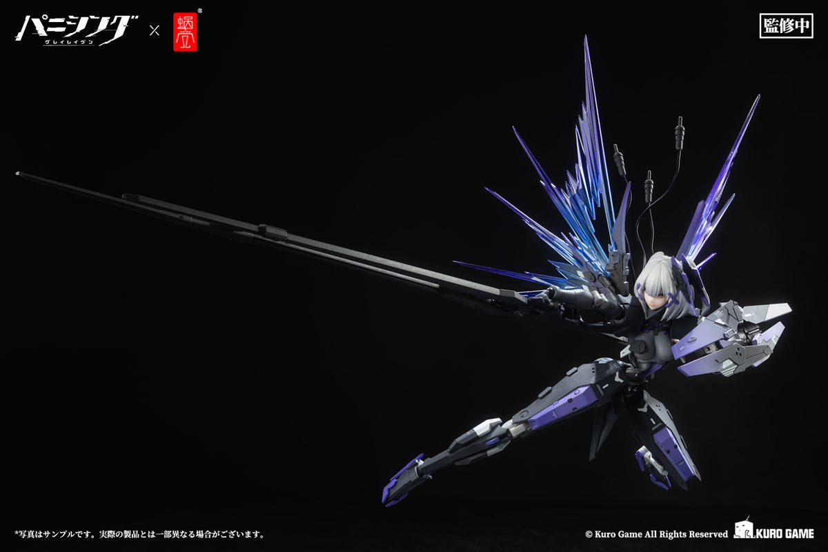 Clypeaster ravenelli　殻 Clypeaster ravenelli 殻