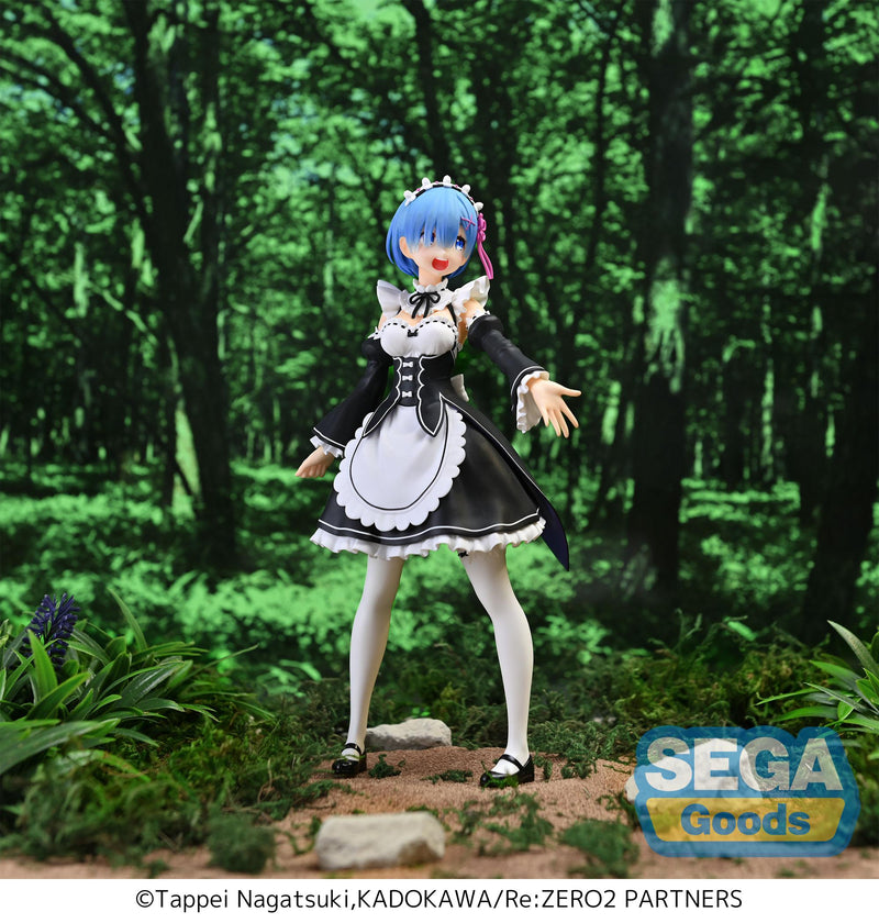 Re:ZERO -Starting Life in Another World- SEGA FIGURIZMα Rem SALVATION