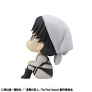 Attack on Titan MEGAHOUSE Lookup Levi Cleaning up Ver. &  Mikasa Ackerman set【with gift】