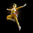 Power Rangers FLAME TOYS Furai Action Yellow Ranger