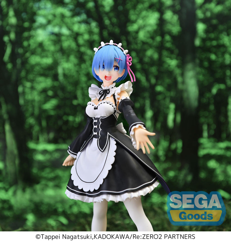 Re:ZERO -Starting Life in Another World- SEGA FIGURIZMα Rem SALVATION