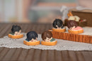 The Graver Robbers Chronicles Myethos The Graver Robbers Chronicles:  Dreamy Feast mini Q version - 12 pcs PACK