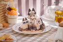 DLC Series Tea Time Cats x Siamese Cat RIBOSE Azuki-san Friendship Collaboration Exclusive Set