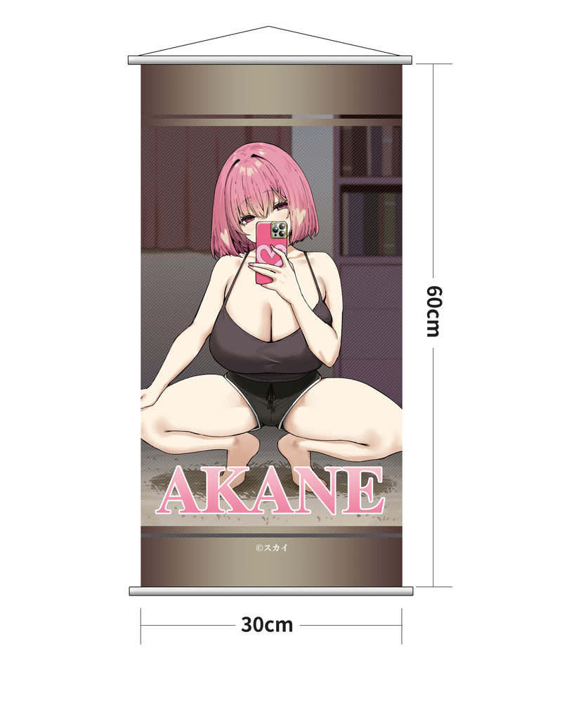 Illustrated by Sky UMIKAWA Akane DELUXE EDITION