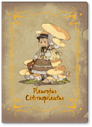 Mushroom Girls Series No.3 Reverse Studio Pleurotus Citrinopileatus