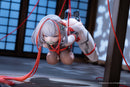 Azur Lane AniGame I-404 Dance of Crimson Strings Ver.