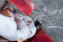 illustrator Tokiwata EUSUN THE ARRIVAL OF AUTUMN DELUXE EDITION